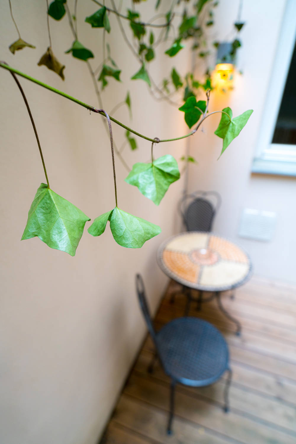 Thumb - Superb air-conditioned apartment with own garden num - 13