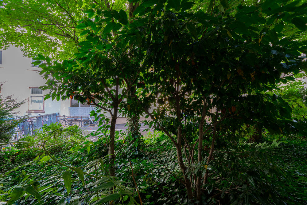 Thumb - Comfortable, fully equipped serviced apartment with 1 bedroom in Frankfurt near Nizza Park num - 23