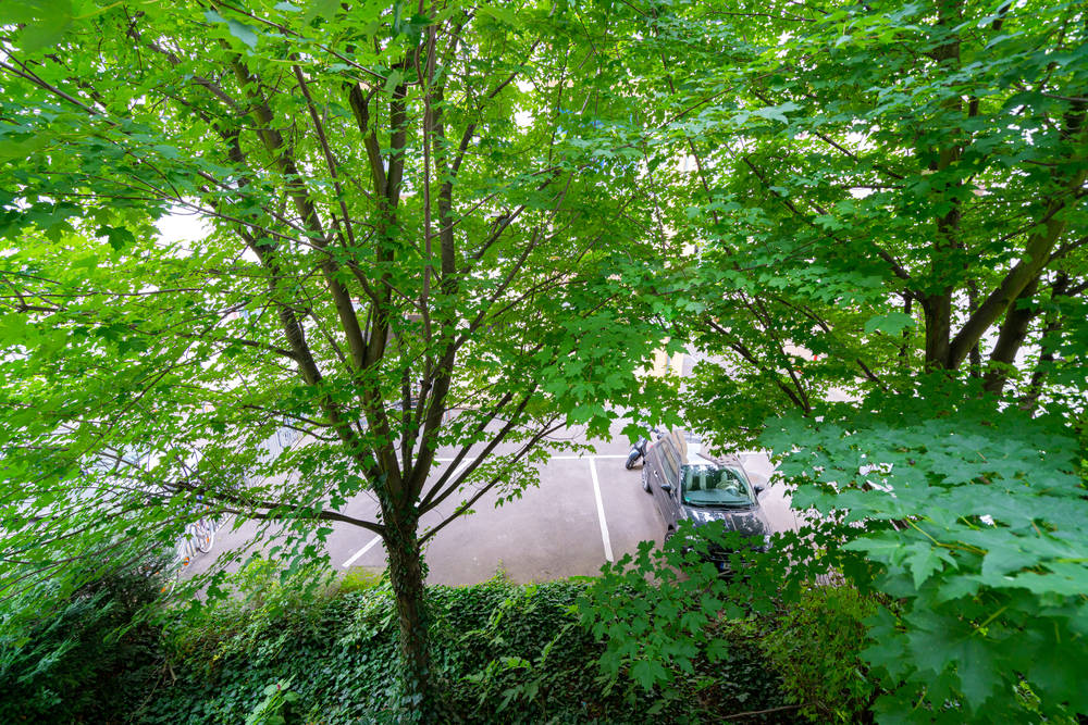 Thumb - Spacious and modernly furnished 1-bedroom flat for your temporary stay in Frankfurt close to the Old Opera num - 17